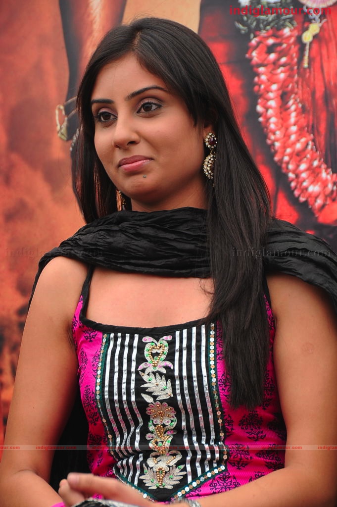 Bhanu Sri Mehra Actress hd photo