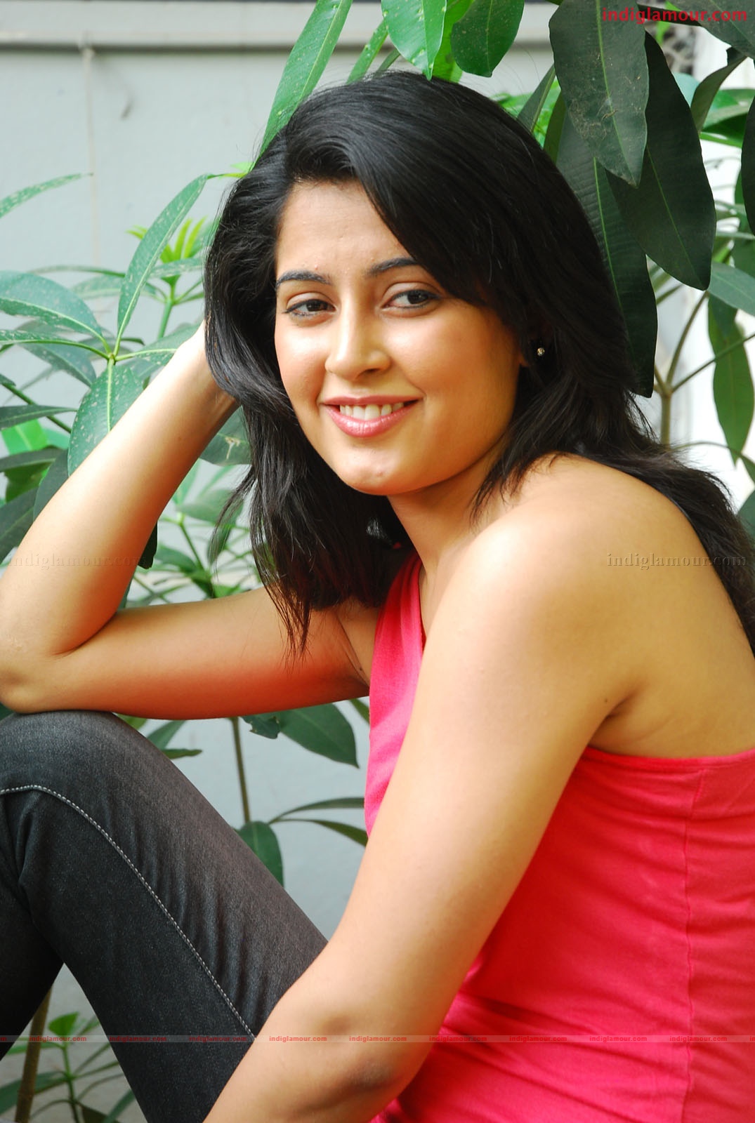 Disha Pandey Actress hd photo