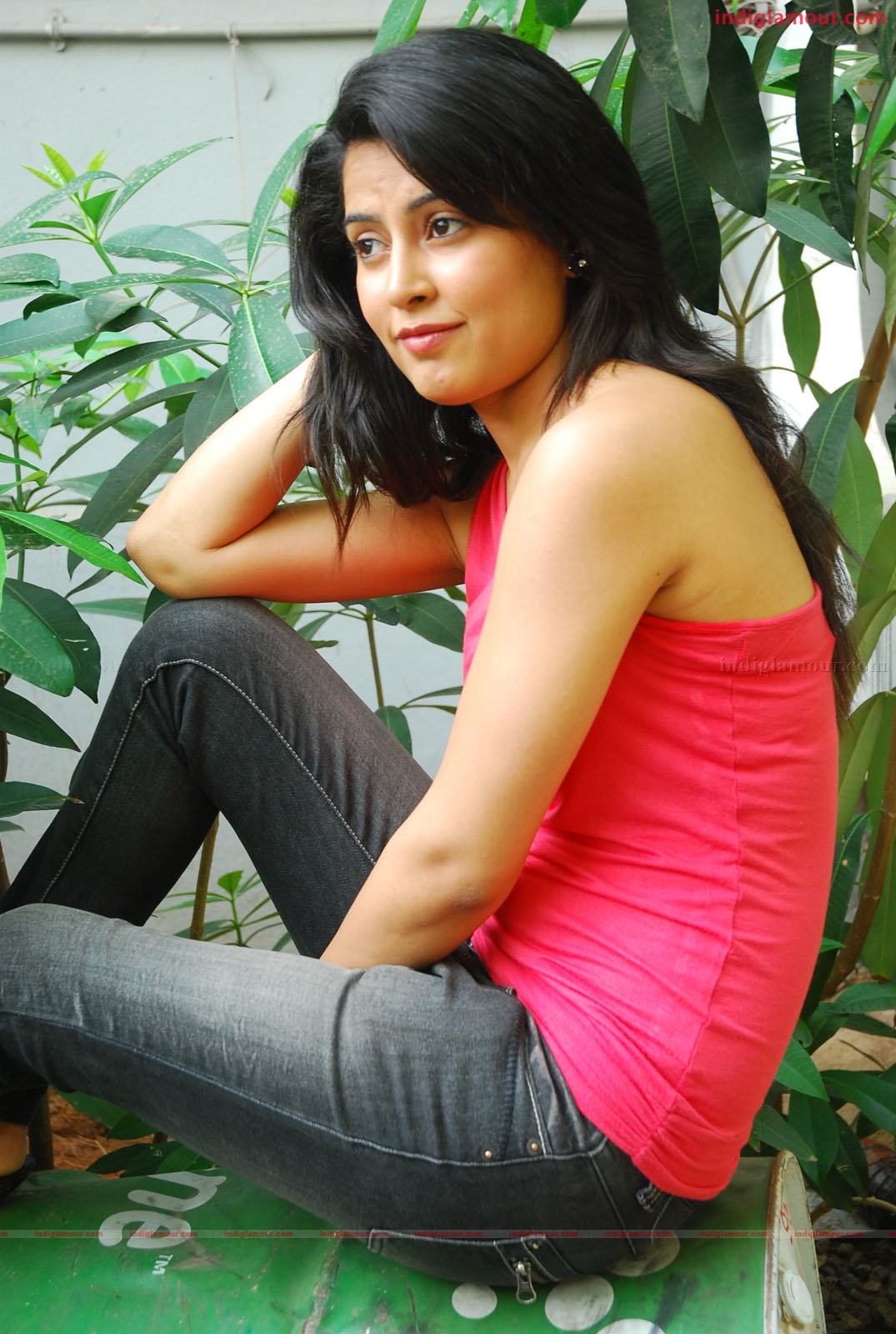 Disha Pandey Actress hd photo