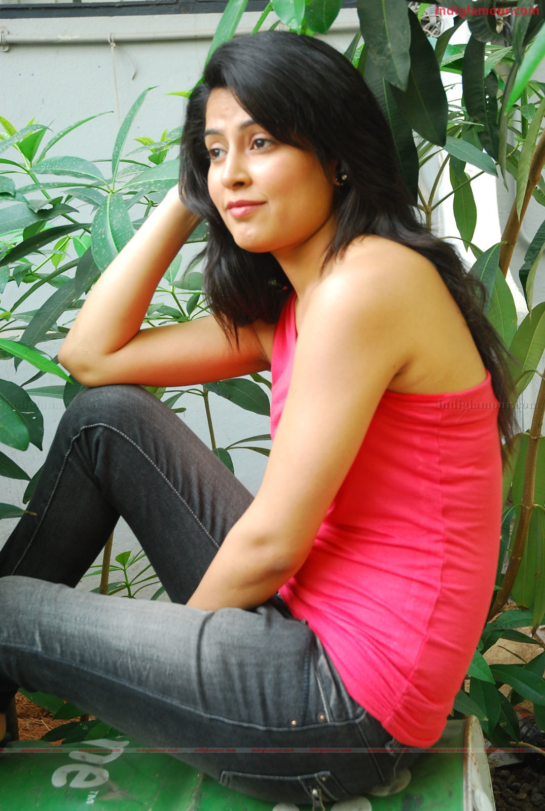 Disha Pandey Actress hd photo