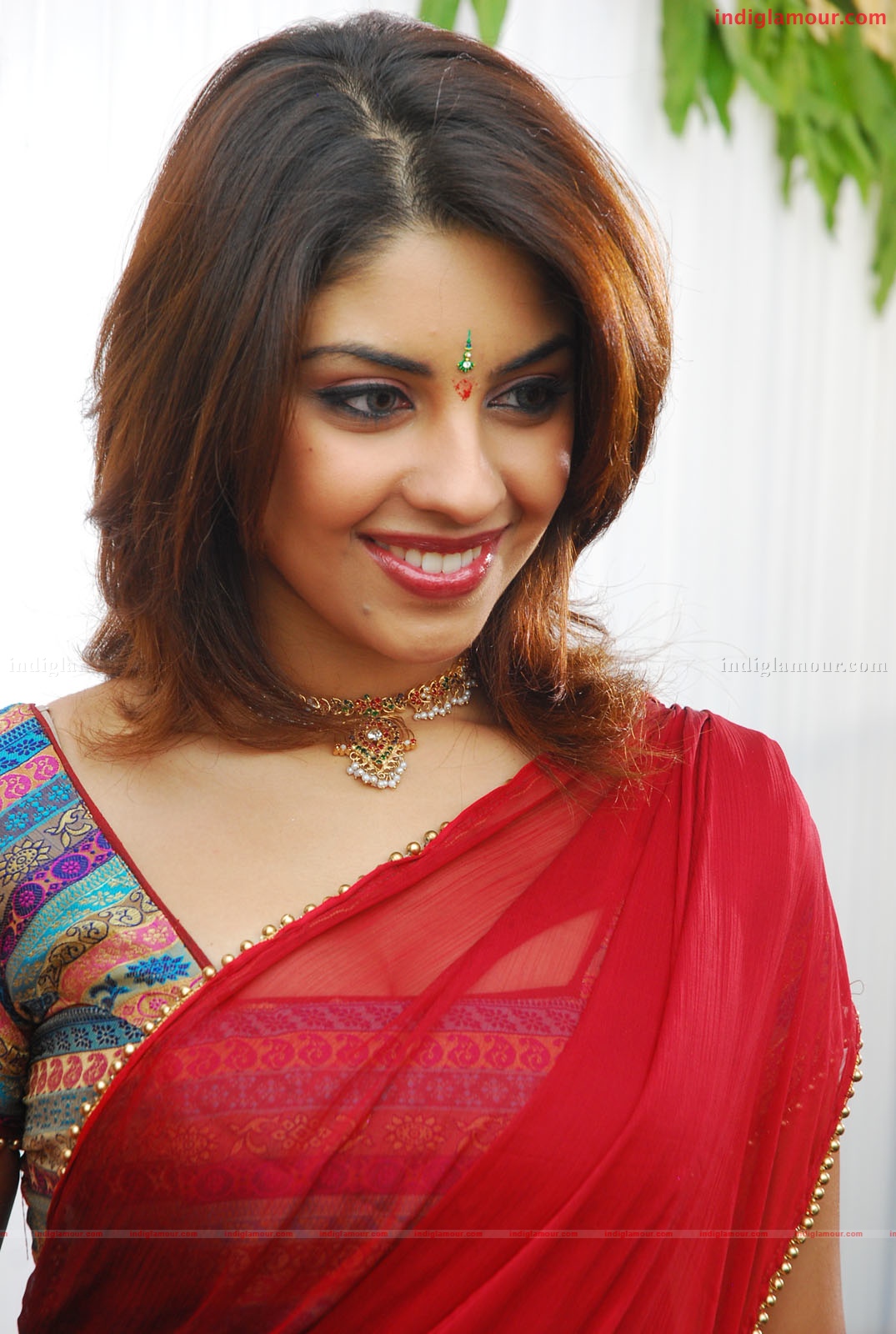 Richa Gangopadhyay Actress hd photo