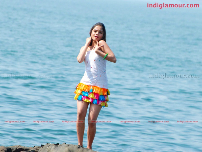 Sheena Actress hd photo