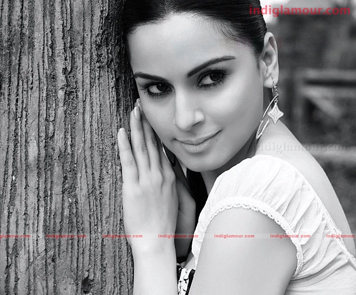 Shradha Arya Actress hd photo