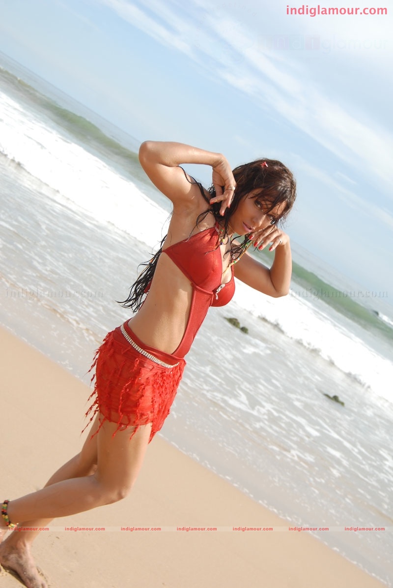 Pakhi Hegde Actress hd photo