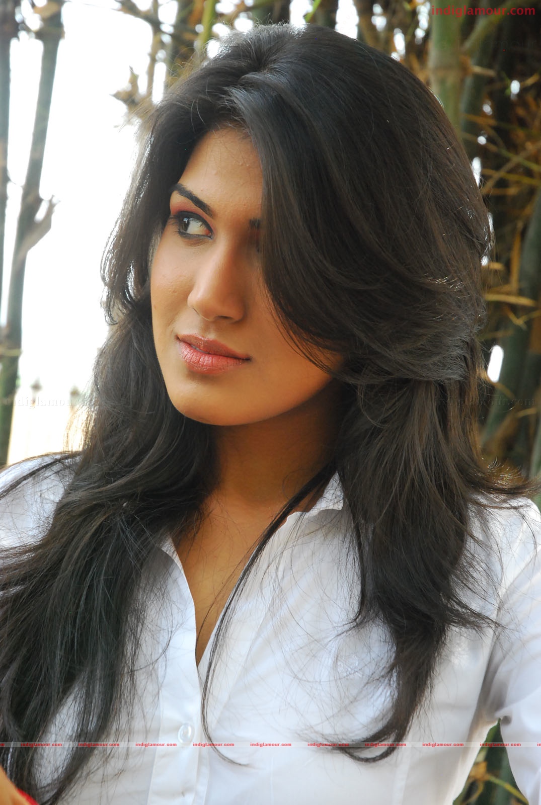 Asmita Actress hd photo