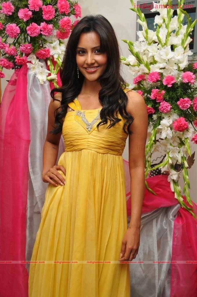 Richa Gangopadhyay Actress hd photo