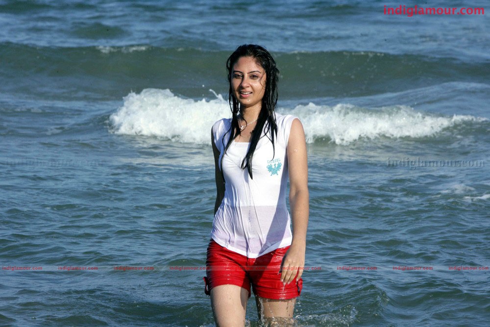 Bhanu Sri Mehra Actress hd photo