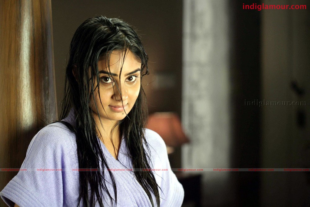 Bhanu Sri Mehra Actress hd photo
