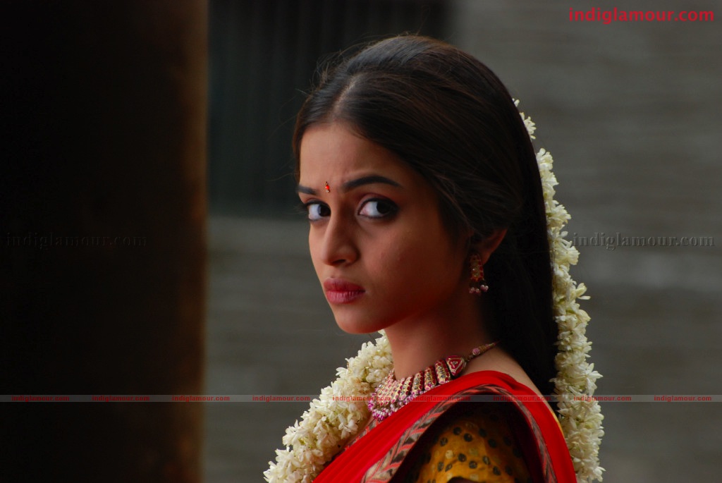 Sheena Actress hd photo