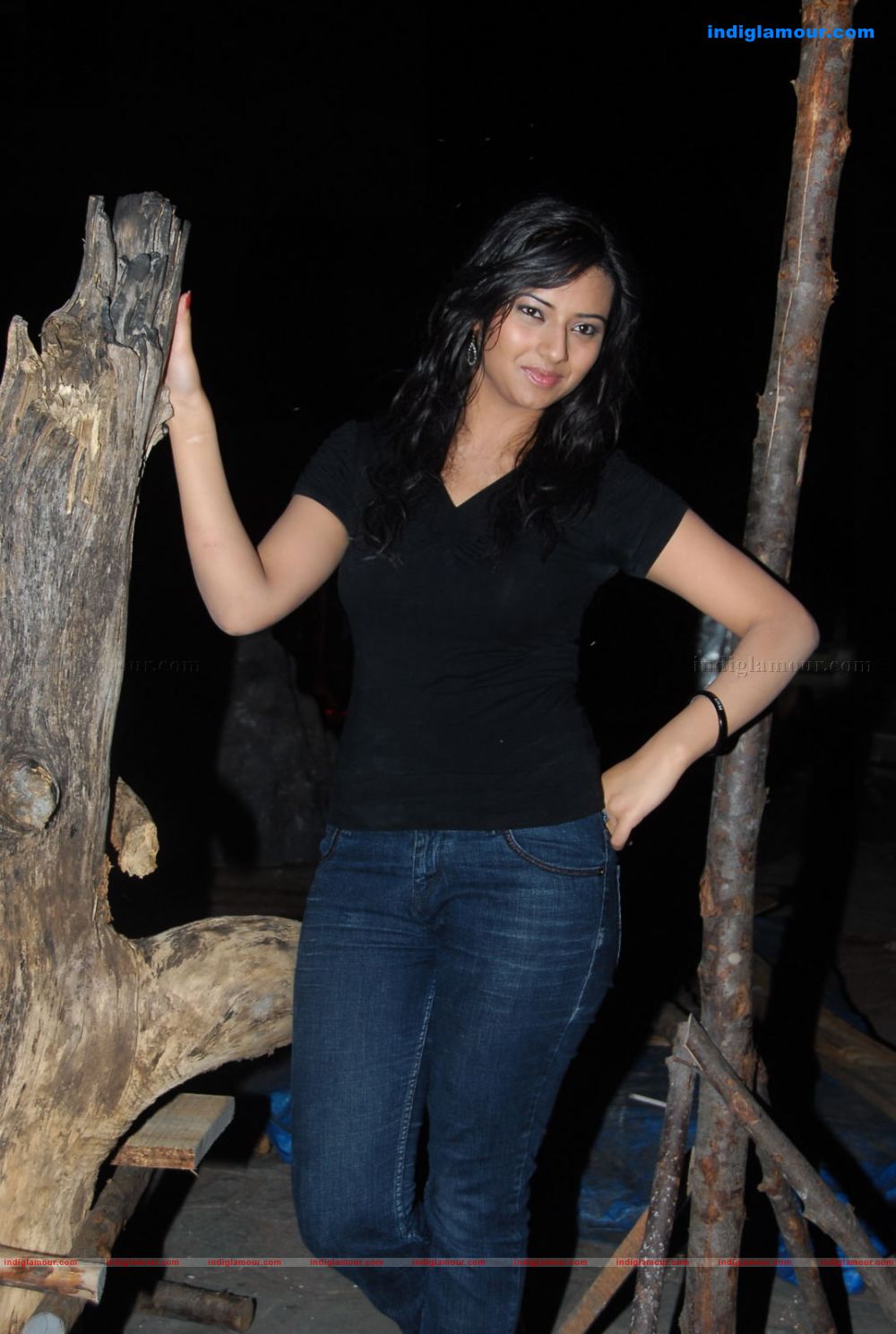 Isha Chawla Actress hd photo