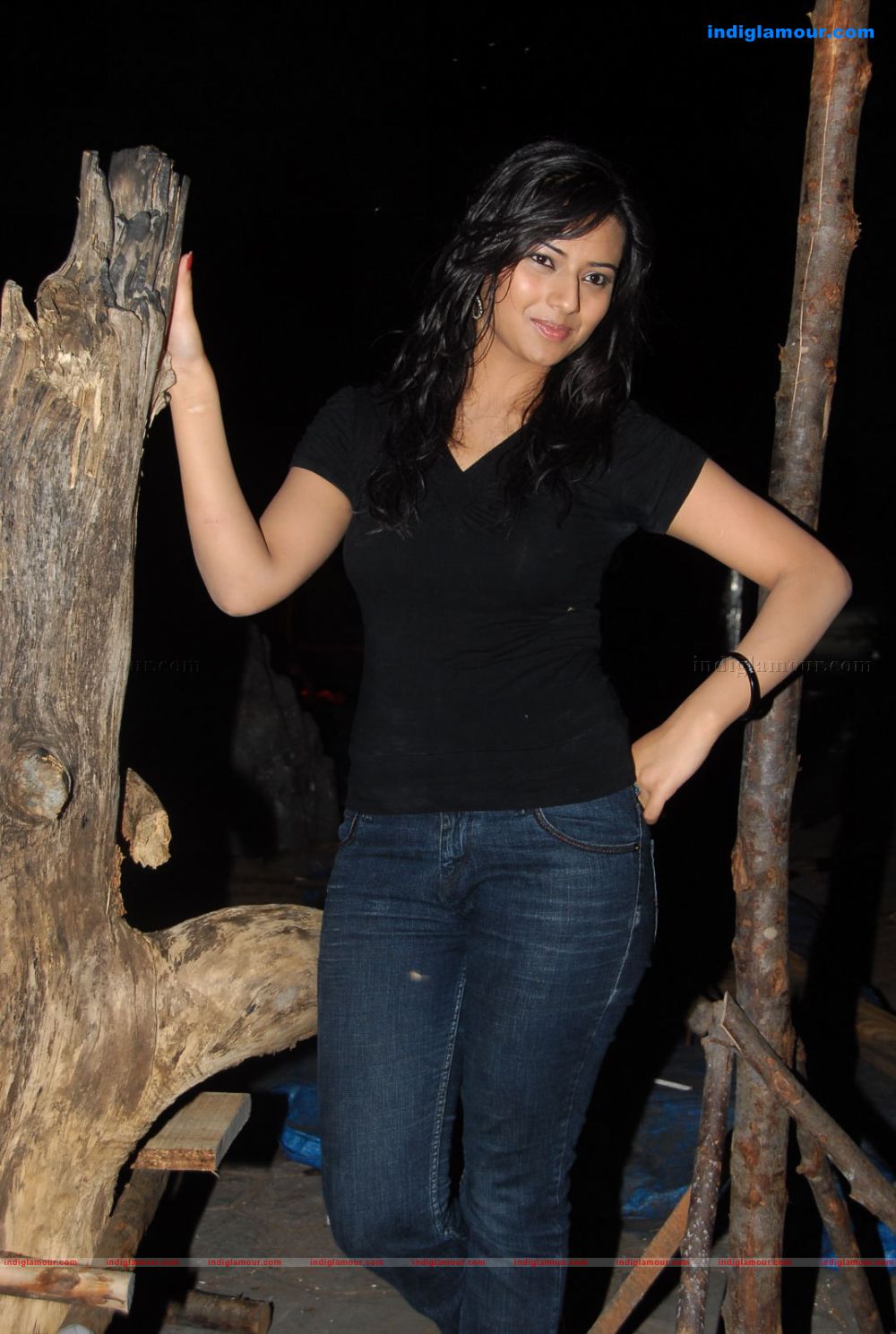 Isha Chawla Actress hd photo