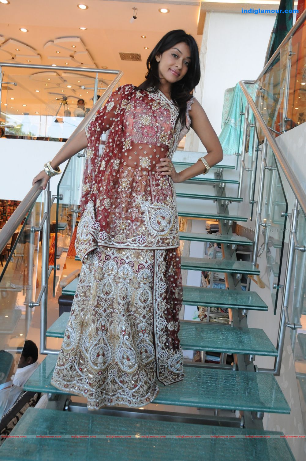 Payal Ghosh Actress hd photo