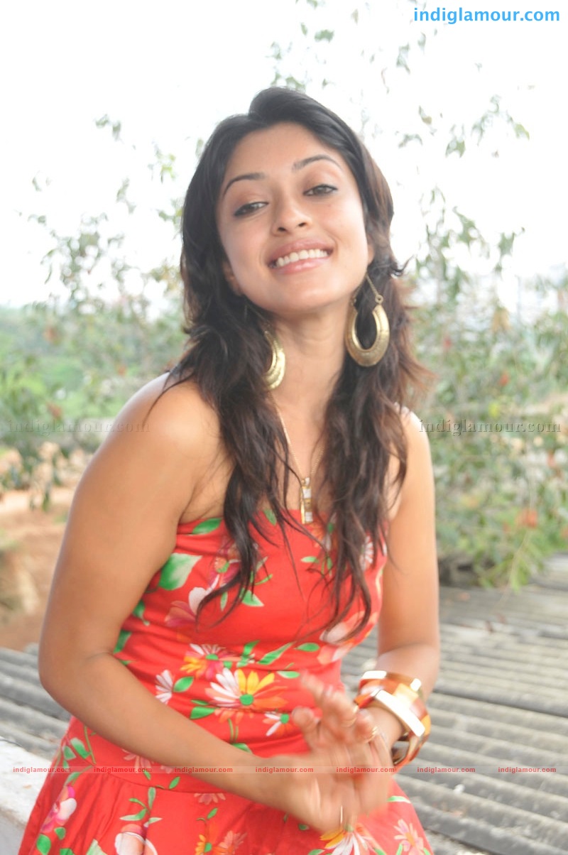 Payal Ghosh Actress hd photo