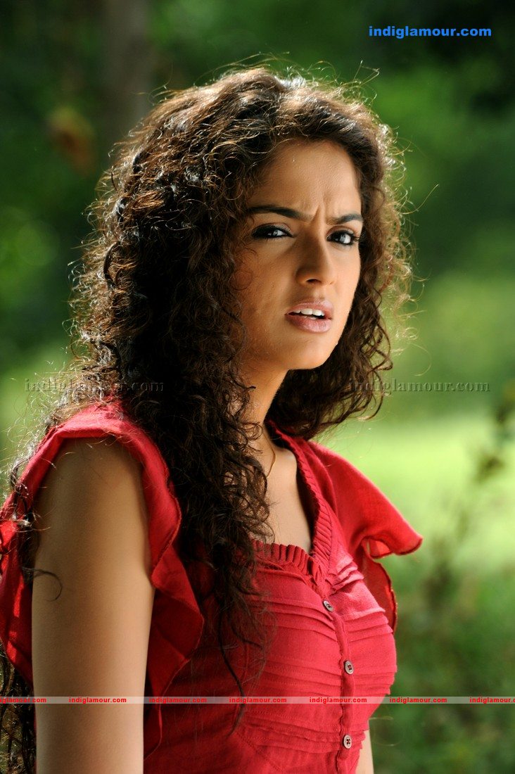 Asmita Sood Actress hd photo