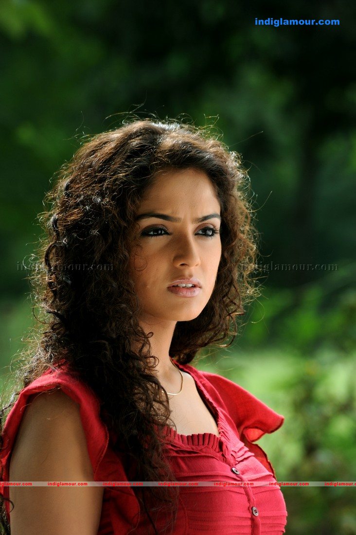 Asmita Sood Actress hd photo