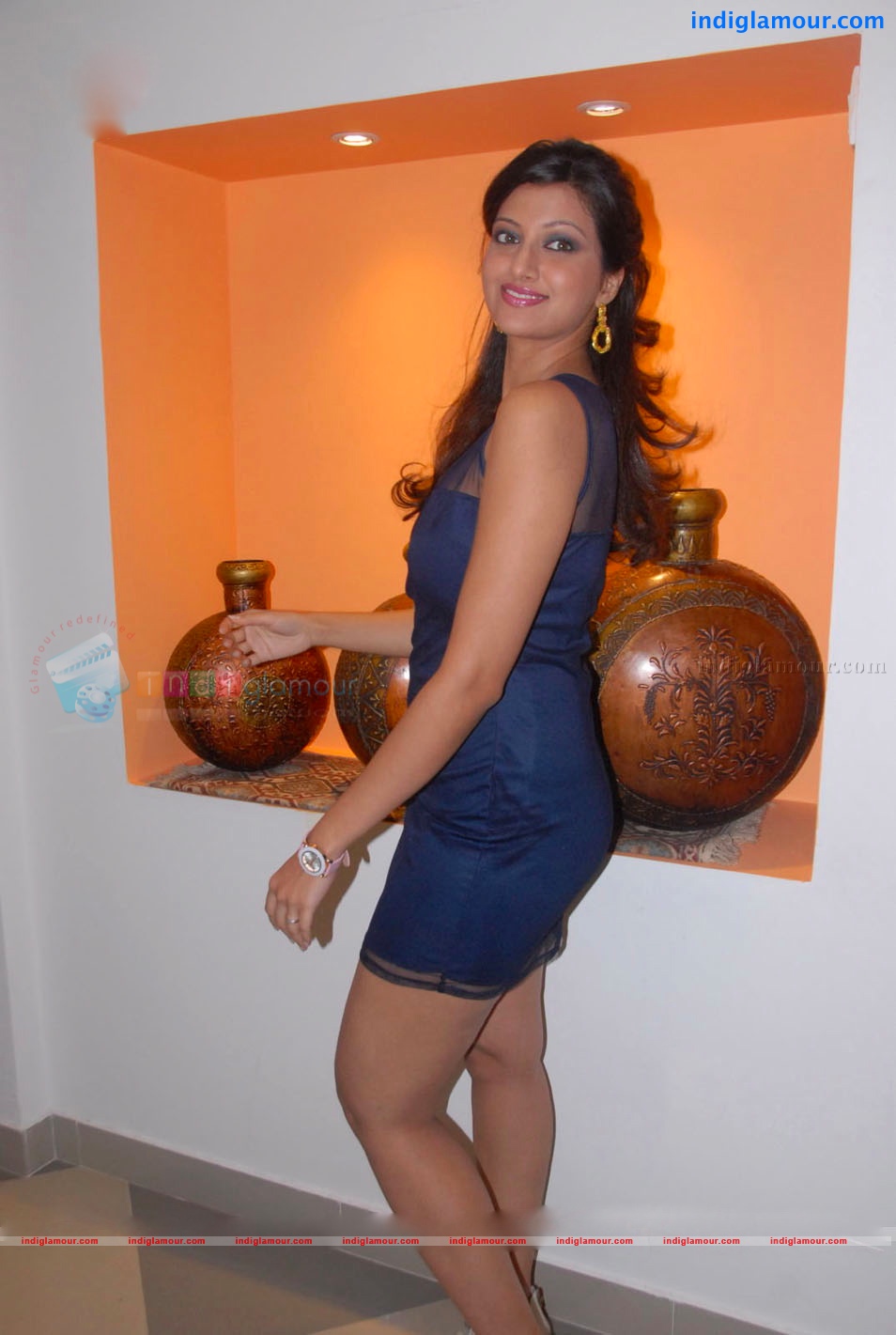 Hamsa Nandini Actress hd photo