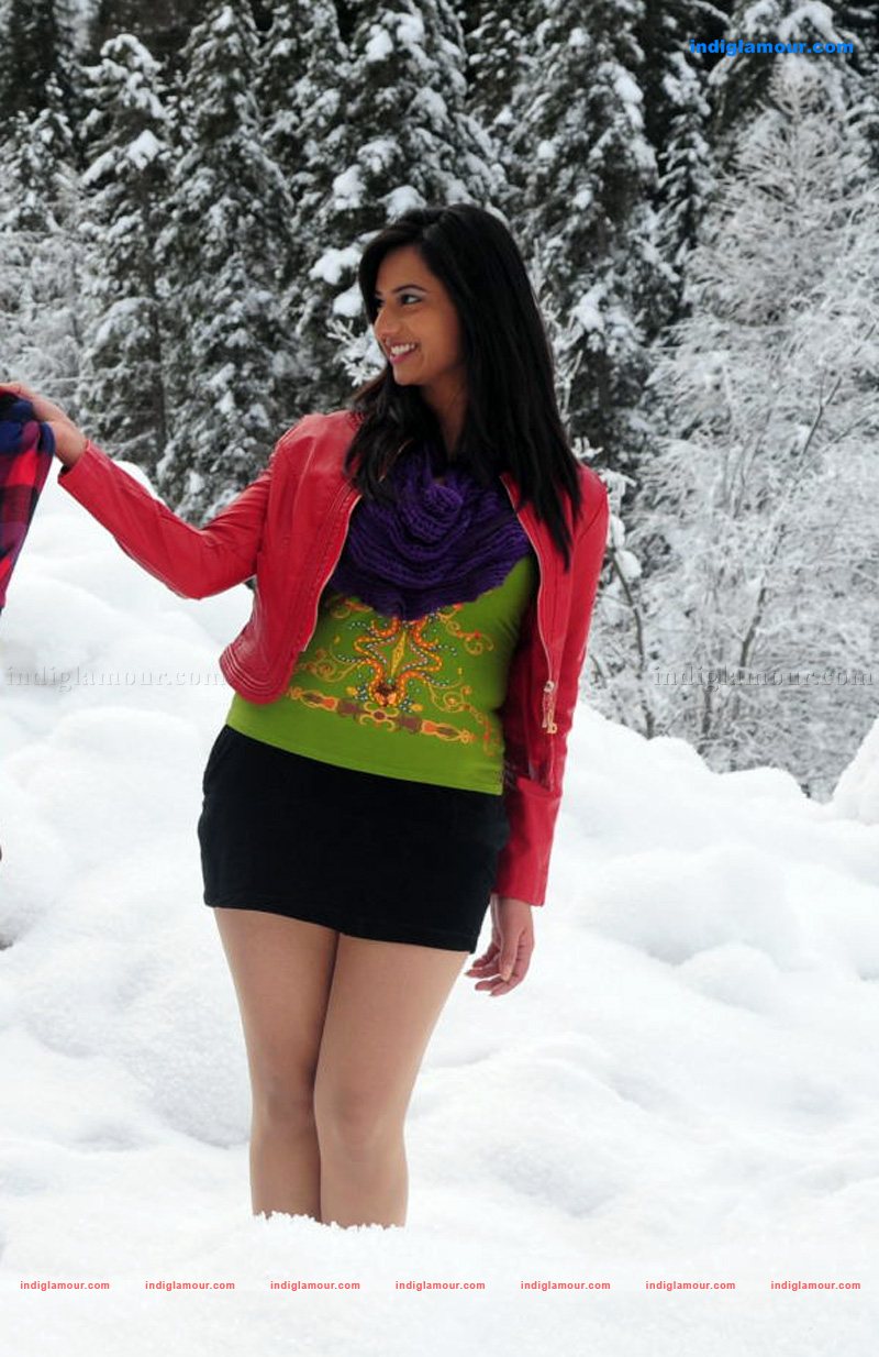 Isha Chawla Actress hd photo