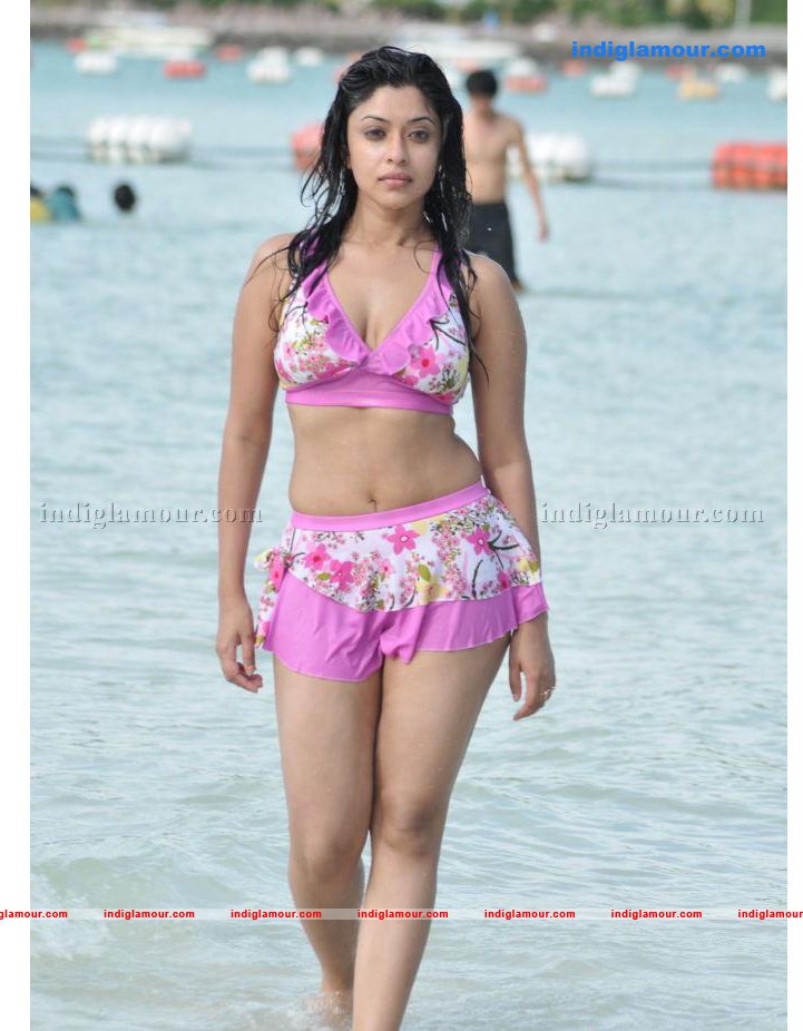 Payal Ghosh Actress hd photo