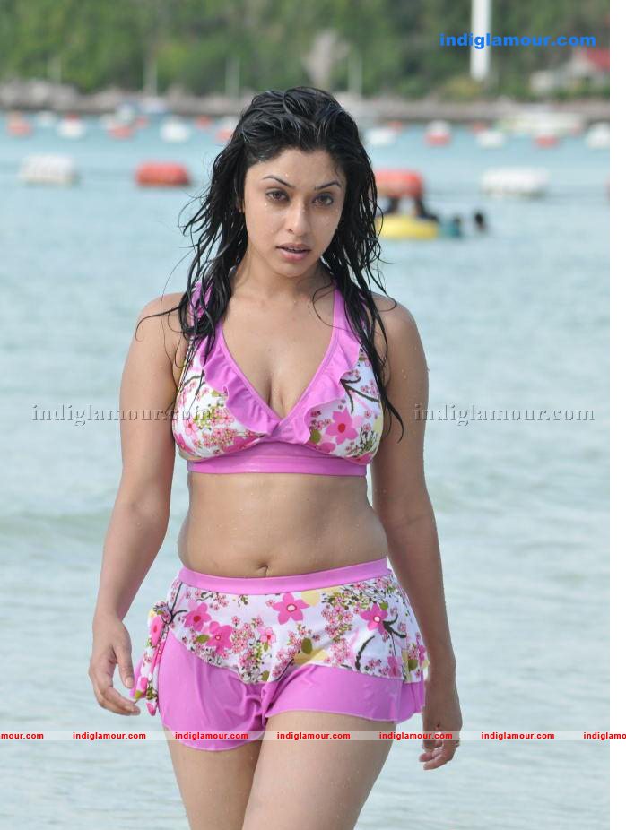 Payal Ghosh Actress hd photo