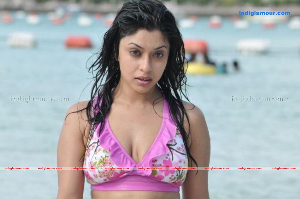 Payal Ghosh Actress hd photo