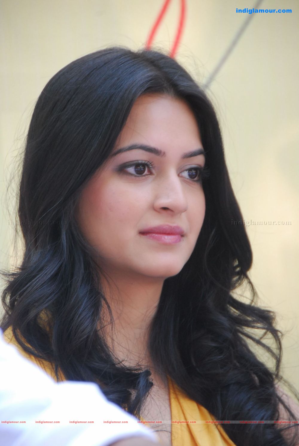 Kriti Kharbanda Actress hd photo