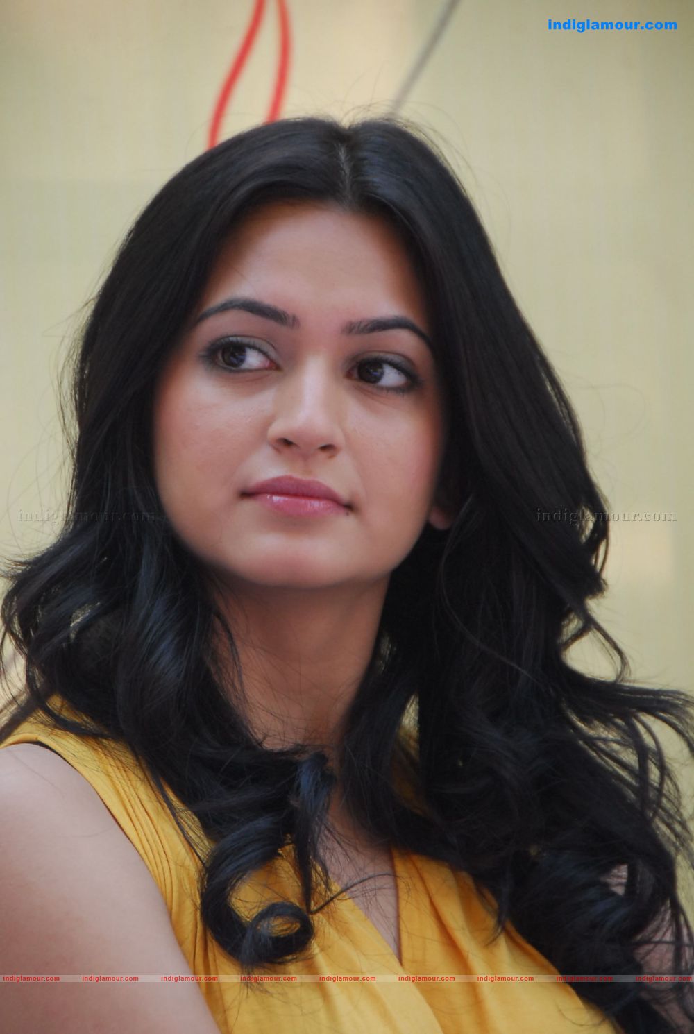 Kriti Kharbanda Actress hd photo