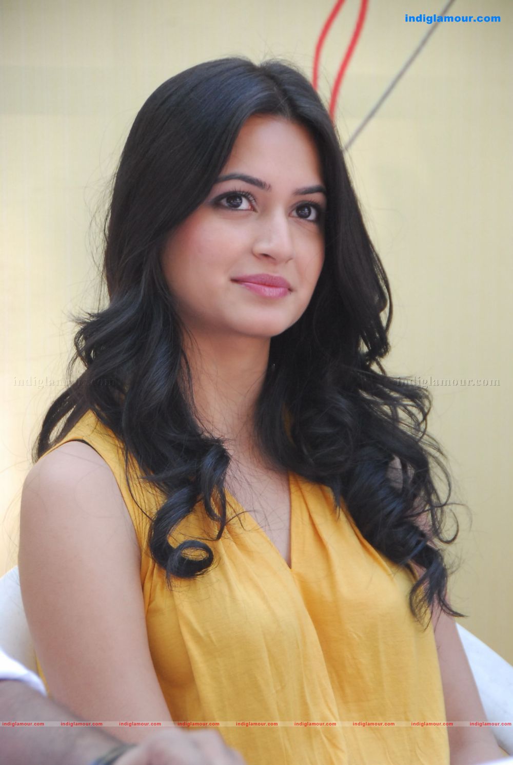 Kriti Kharbanda Actress hd photo