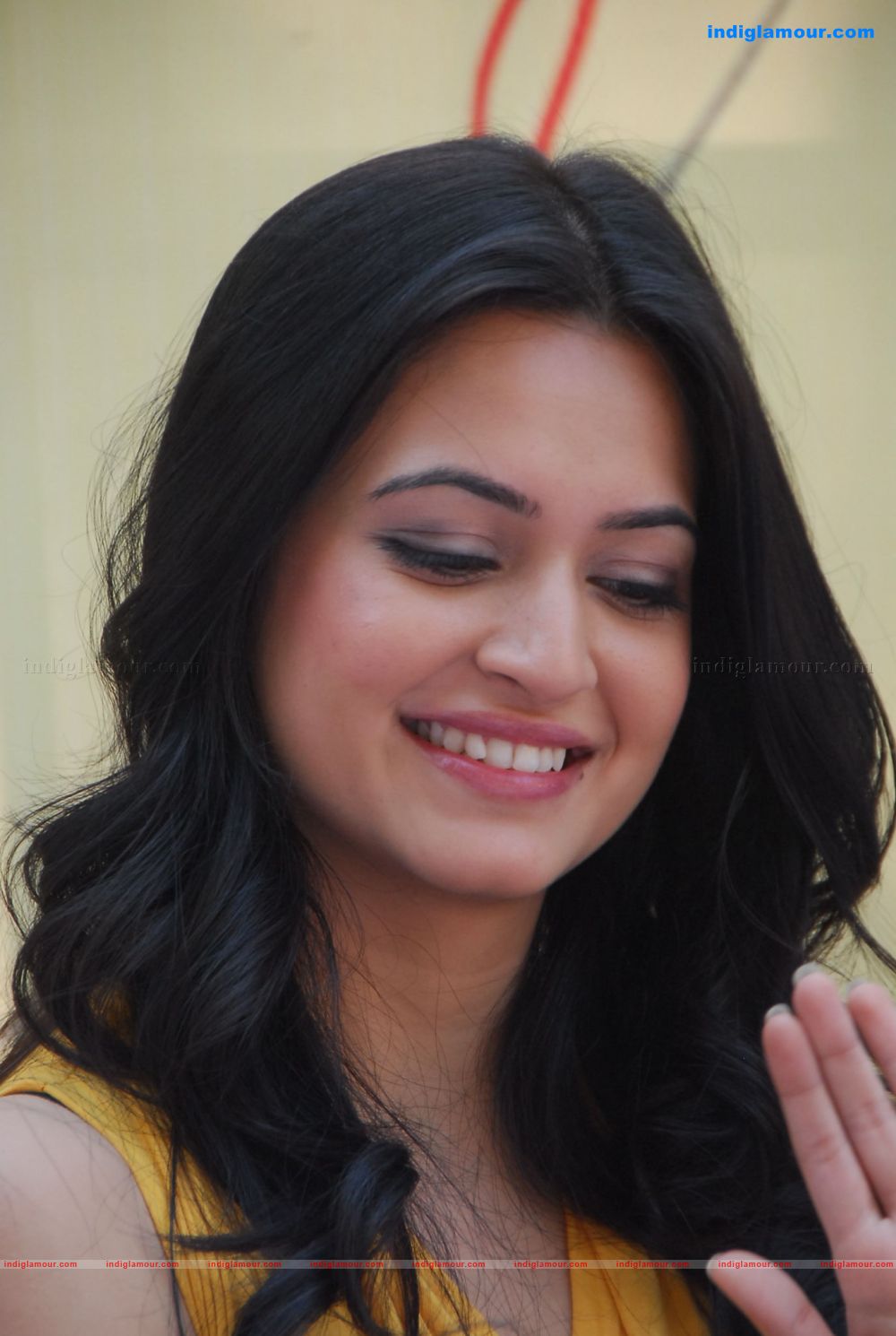 Kriti Kharbanda Actress hd photo