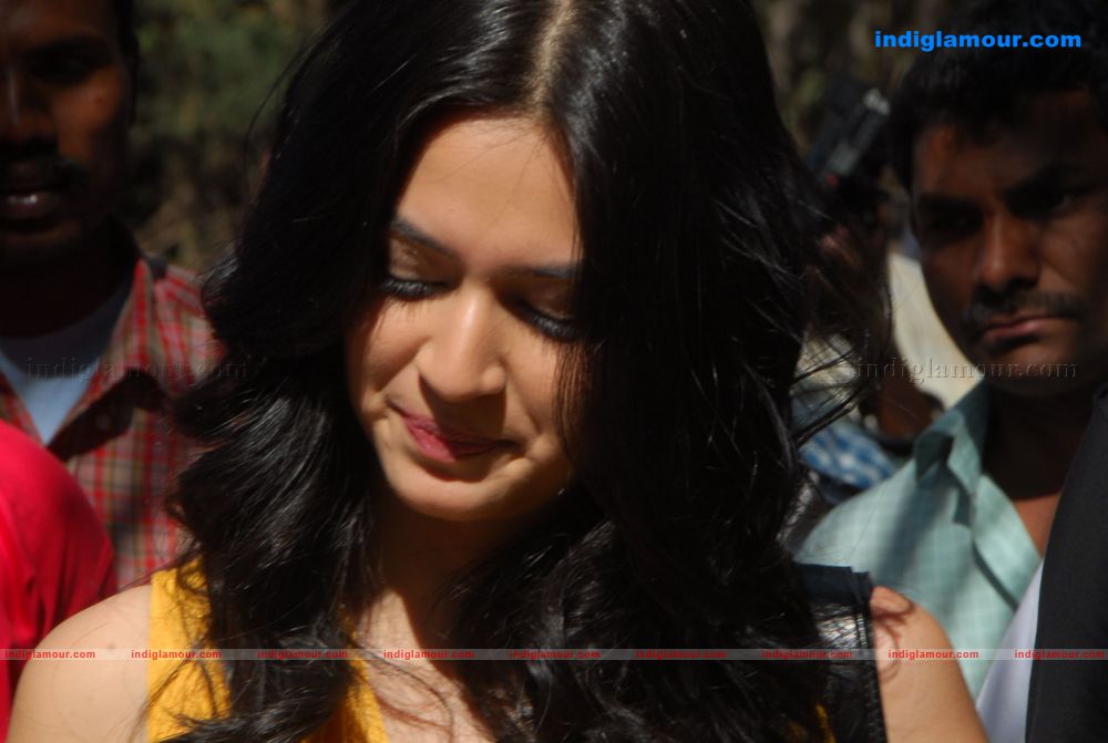 Kriti Kharbanda Actress hd photo