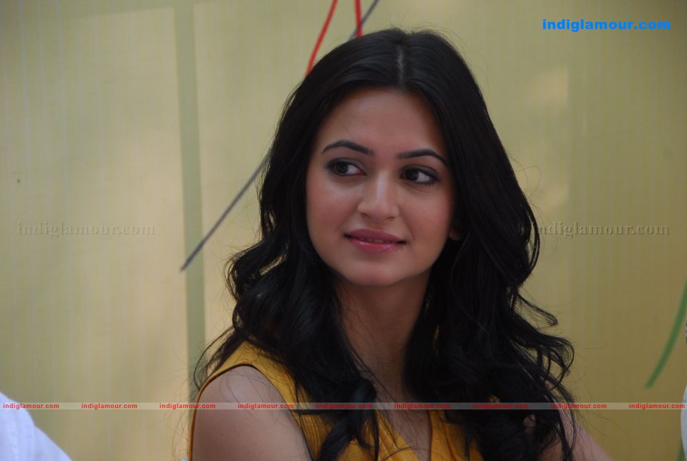 Kriti Kharbanda Actress hd photo