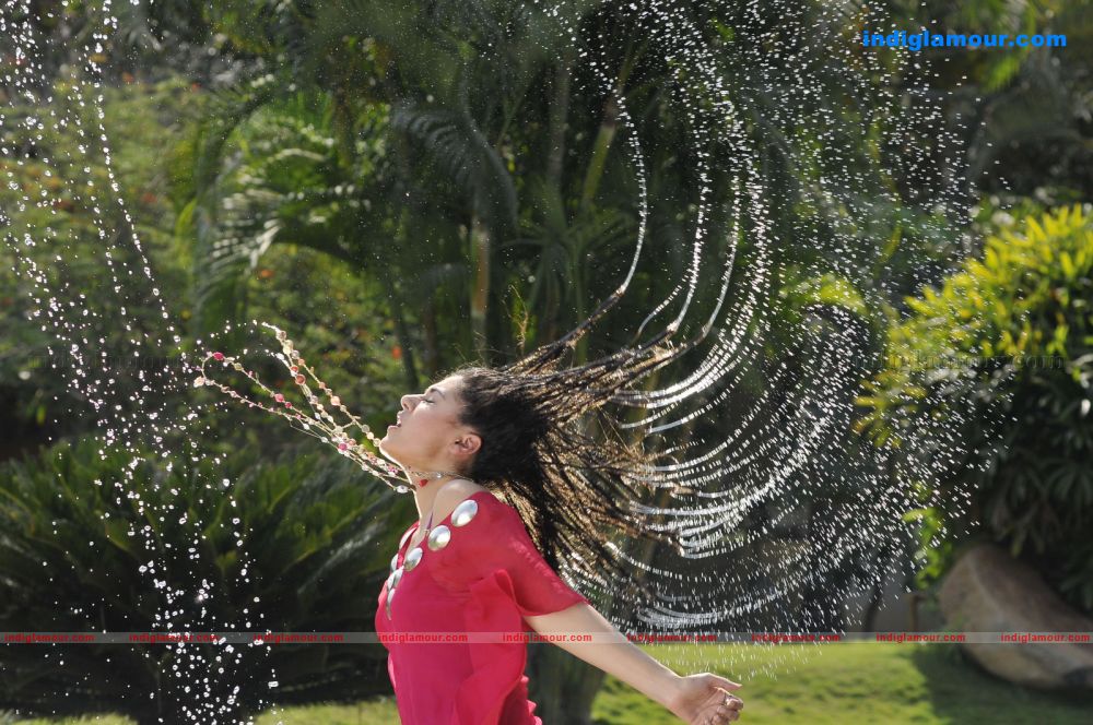 Tapsee Actress hd photo