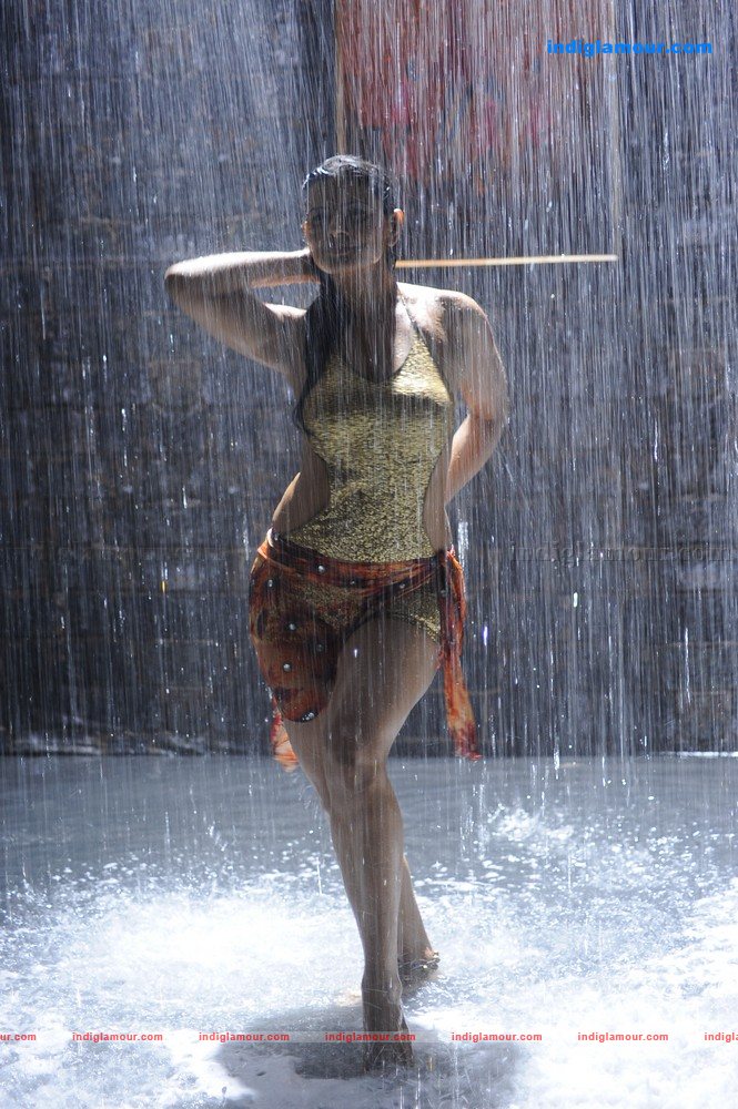 Madhu Sharma Actress hd photo