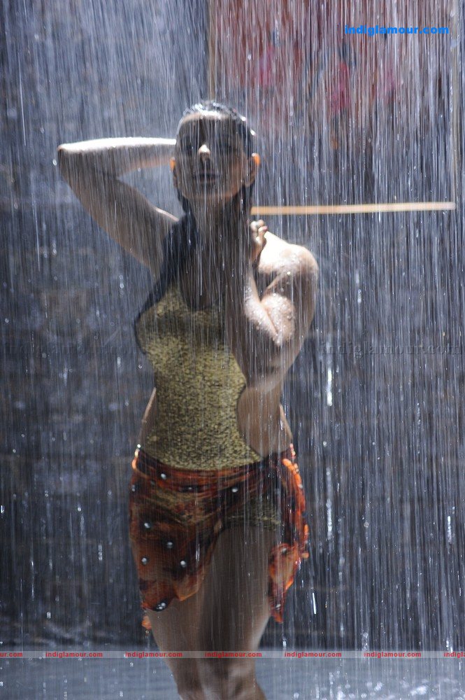 Madhu Sharma Actress hd photo