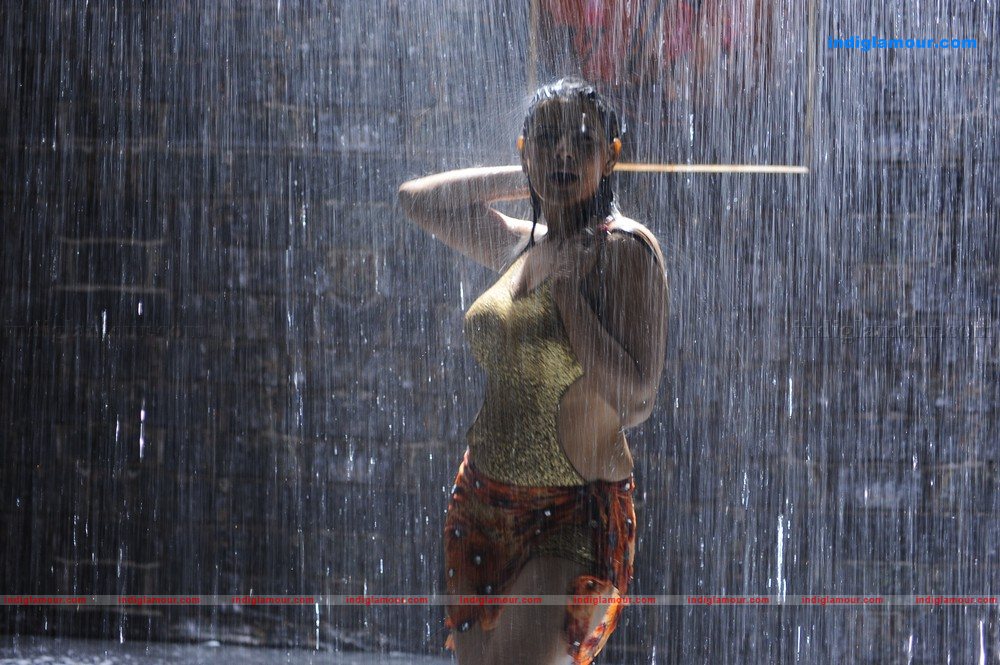 Madhu Sharma Actress hd photo