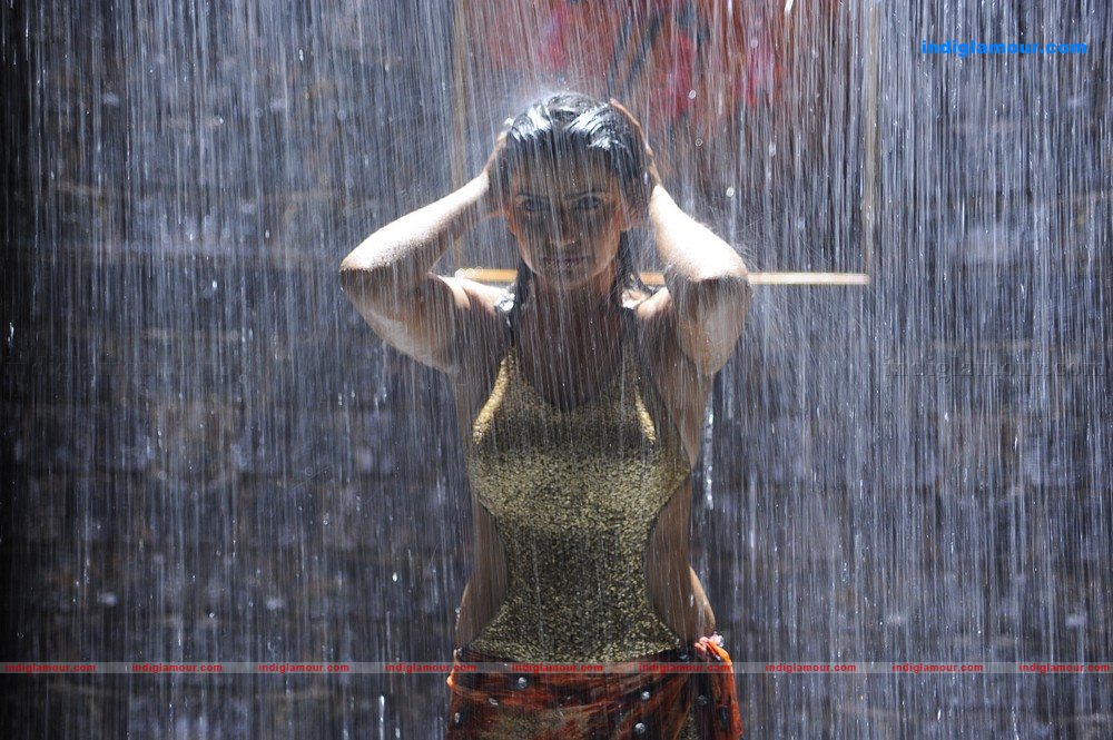 Madhu Sharma Actress hd photo