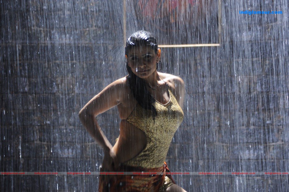 Madhu Sharma Actress hd photo