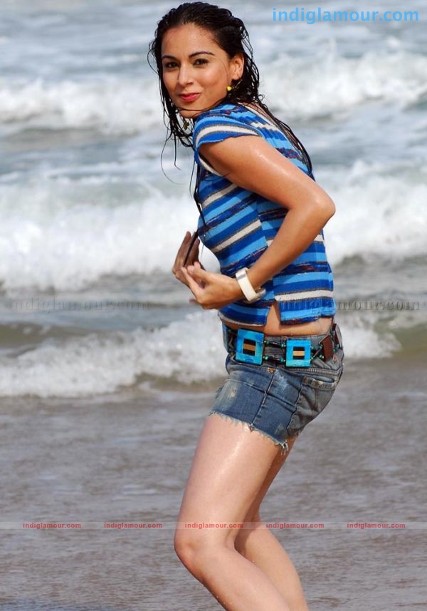 Shradha Arya Actress hd photo