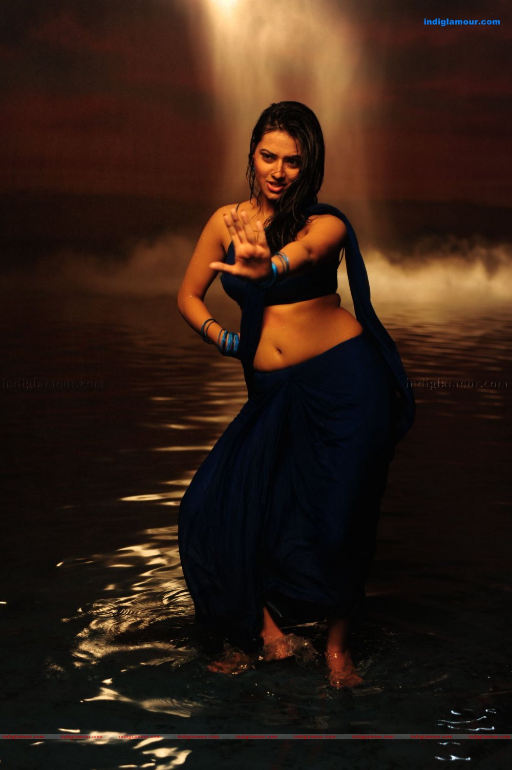 Isha Chawla Actress hd photo