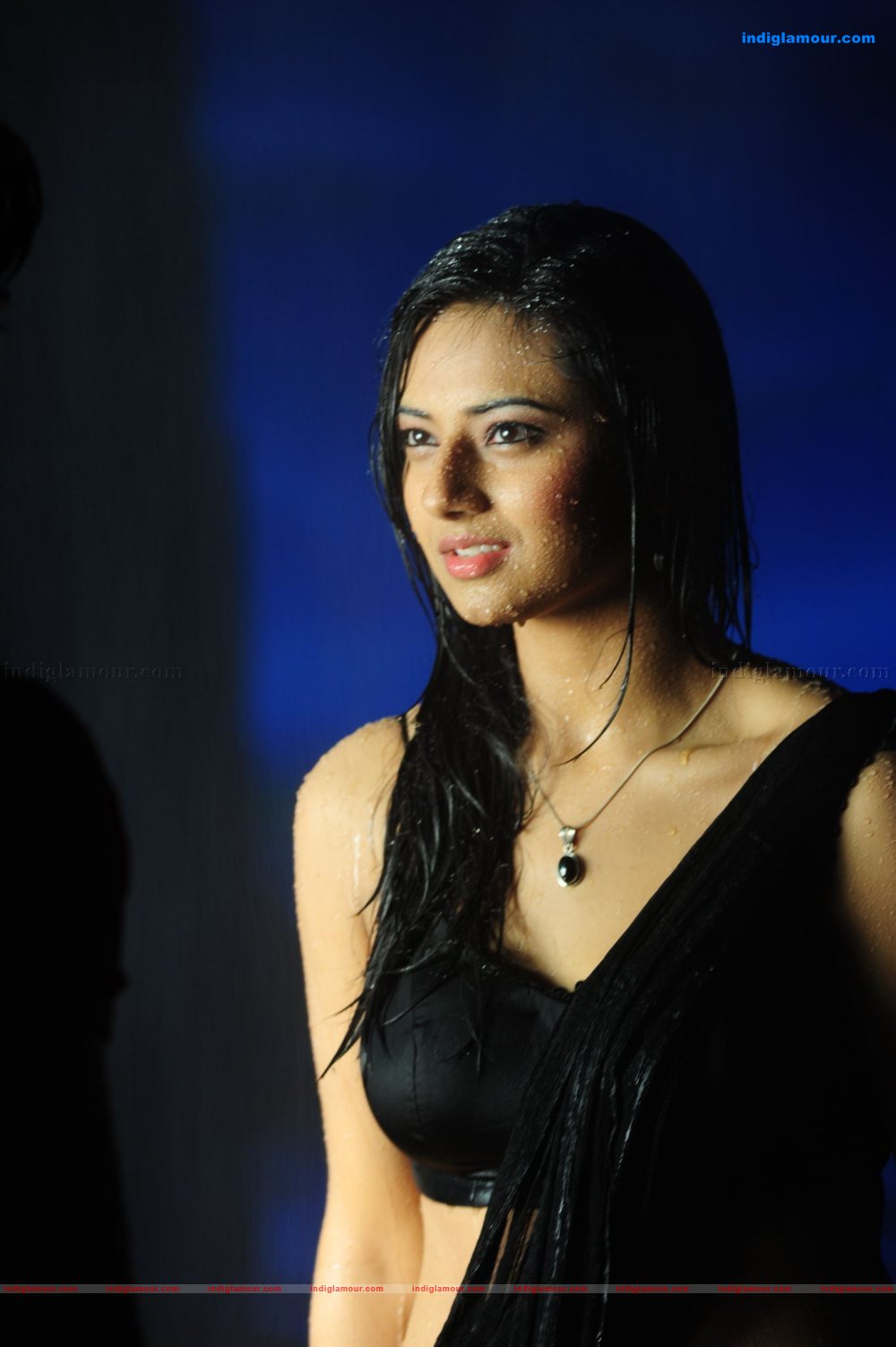 Isha Chawla Actress hd photo