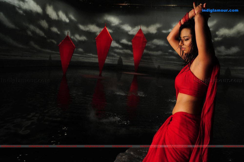 Isha Chawla Actress hd photo