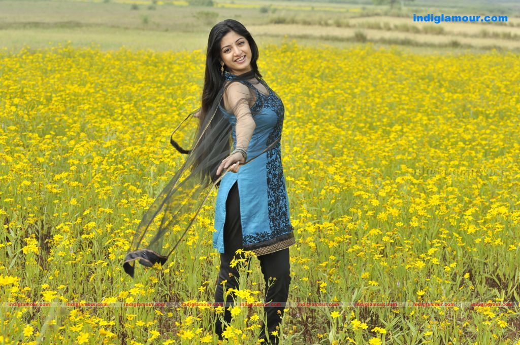 Poonam Kaur Actress hd photo