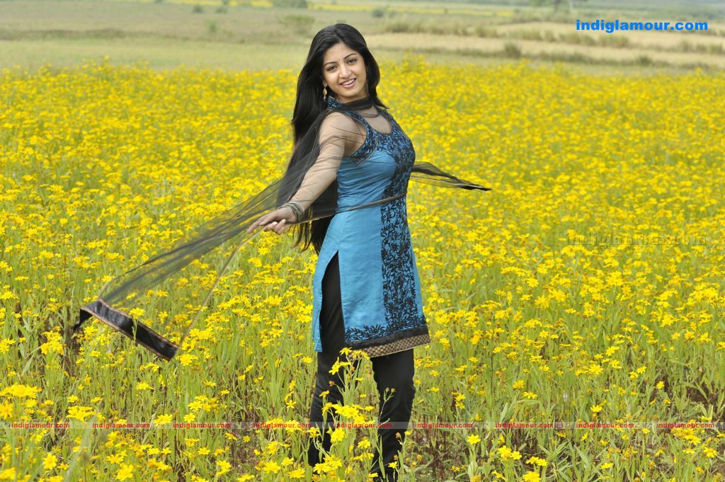 Poonam Kaur Actress hd photo