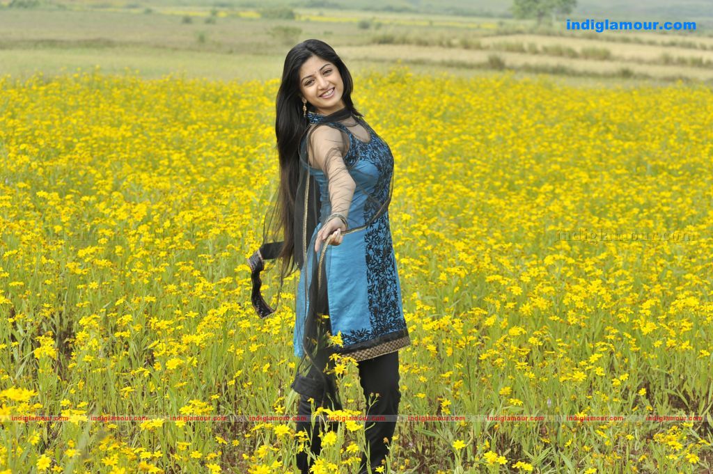 Poonam Kaur Actress hd photo
