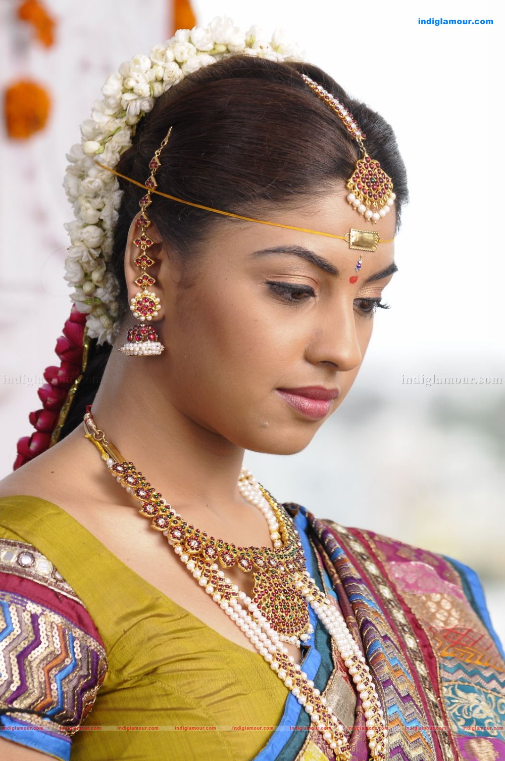 Richa Gangopadhyay Actress hd photo