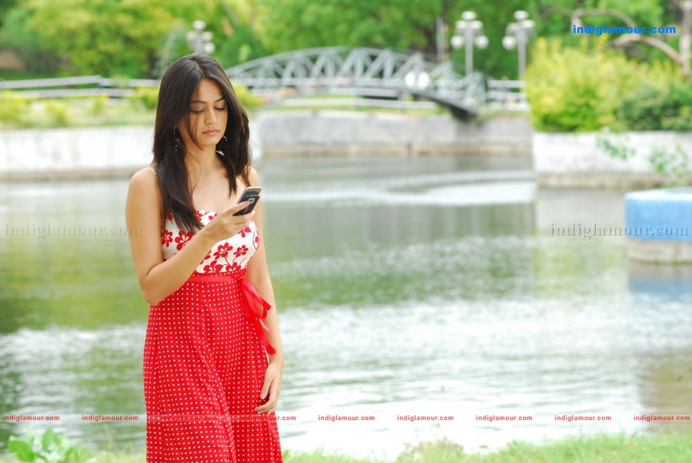 Kriti Kharbanda Actress hd photo