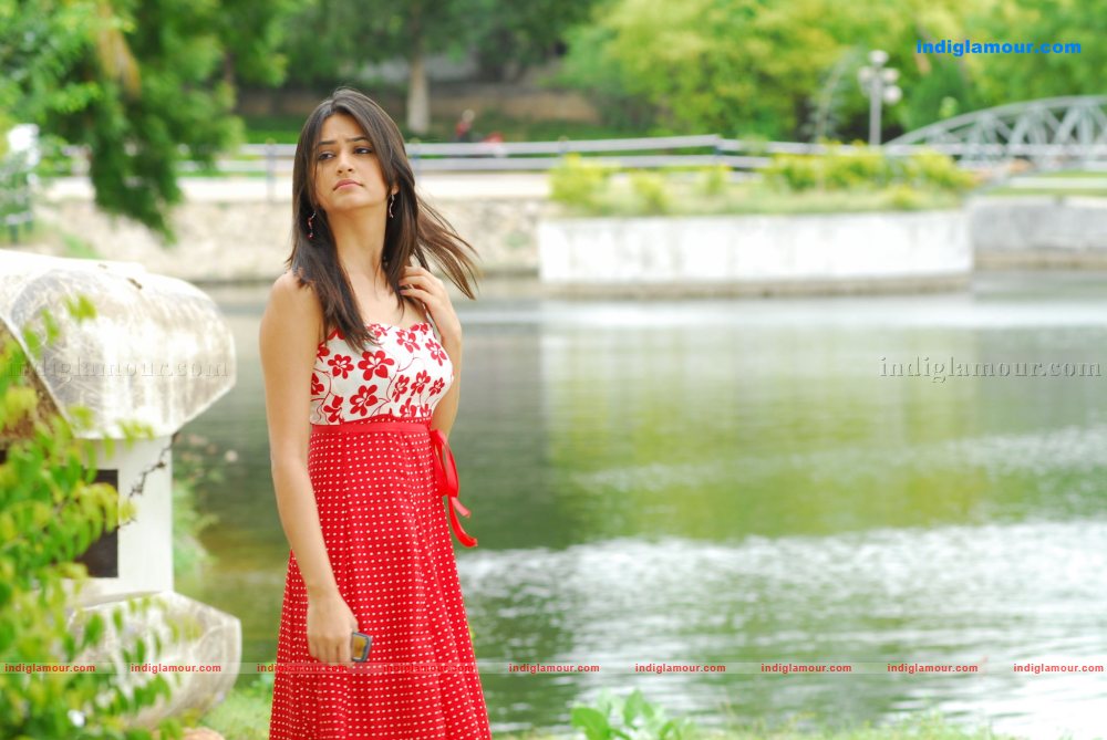 Kriti Kharbanda Actress hd photo