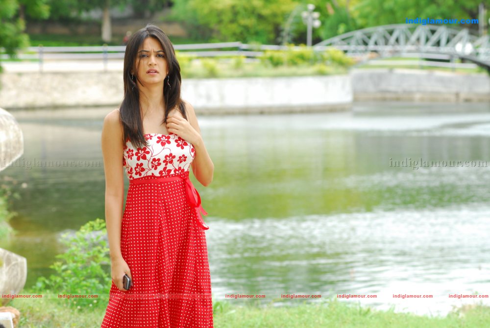Kriti Kharbanda Actress hd photo
