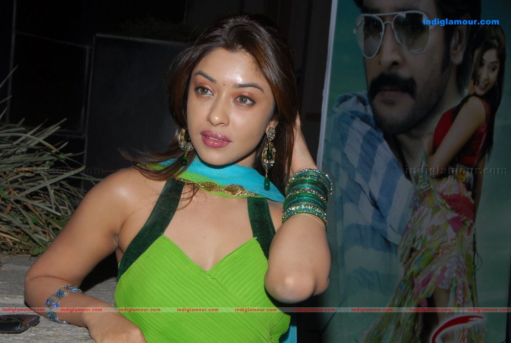 Payal Ghosh Actress hd photo