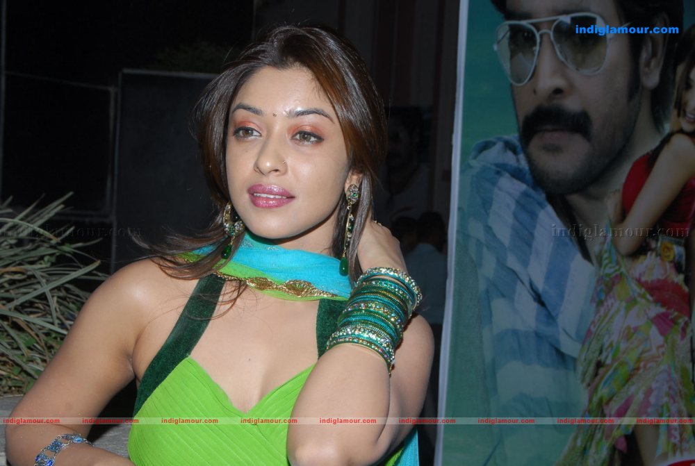 Payal Ghosh Actress hd photo