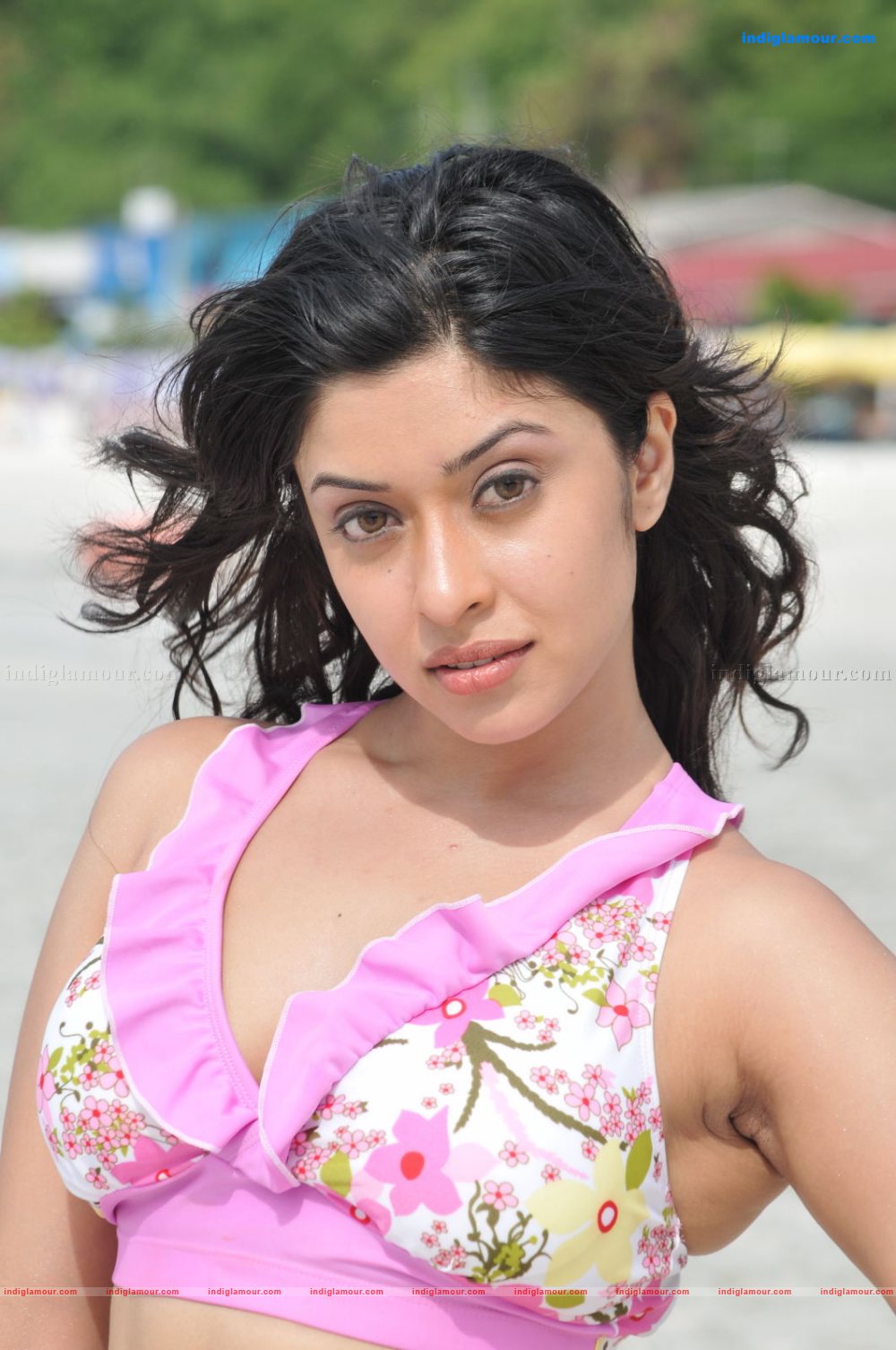 Payal Ghosh Actress hd photo